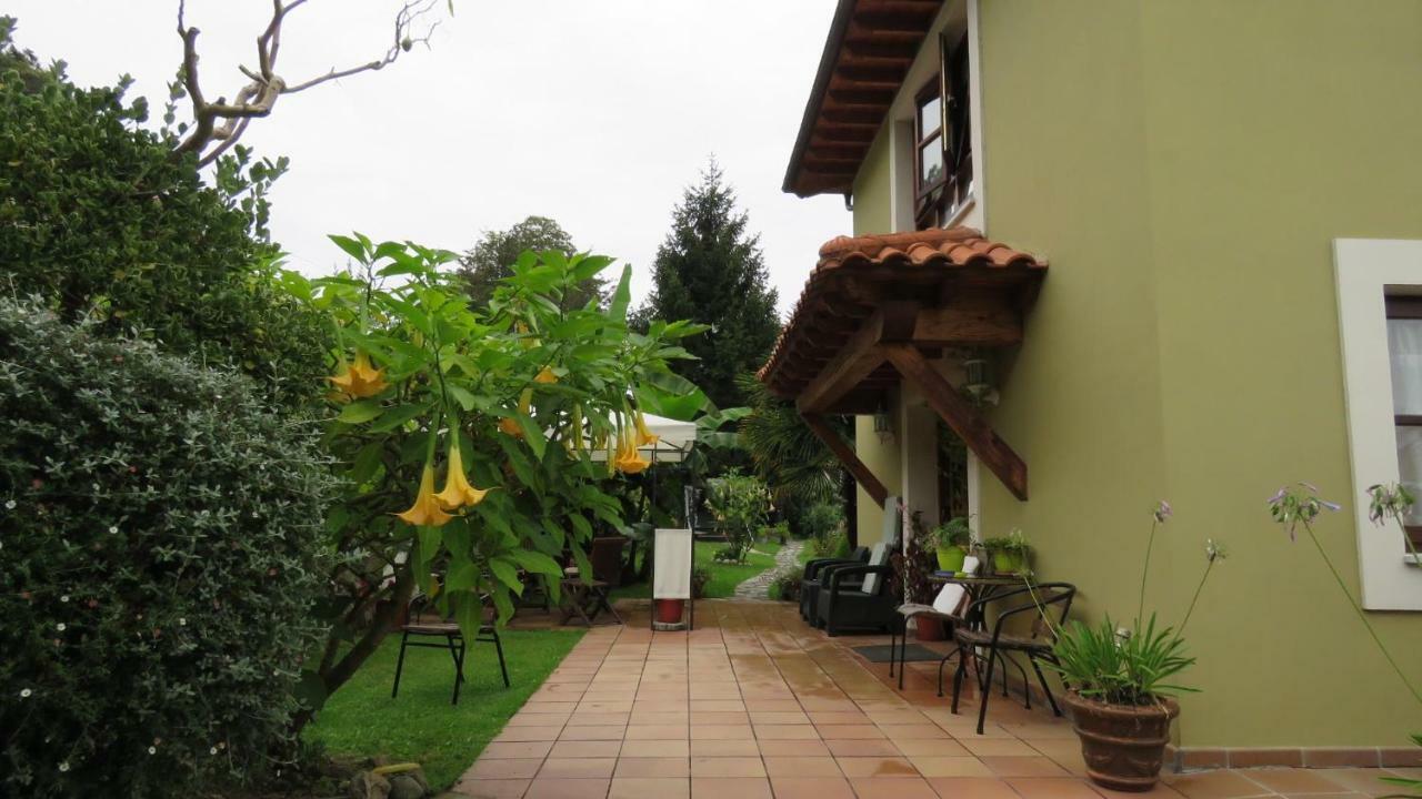 Pendueles Casa Nueva Carmen 게스트하우스 외부 사진